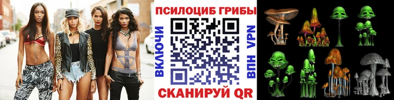 купить наркотики цена  Курчалой  Псилоцибиновые грибы мицелий 